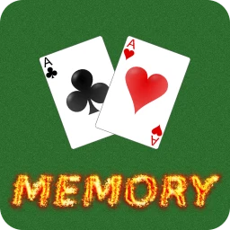 Ikon Memory Cards
